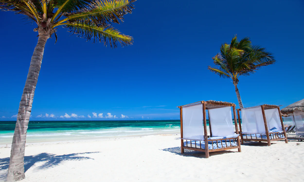 Strand mit Palmen und Beachbeds Strand mit Palmen und Beachbeds